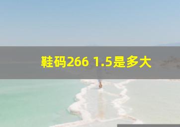 鞋码266 1.5是多大